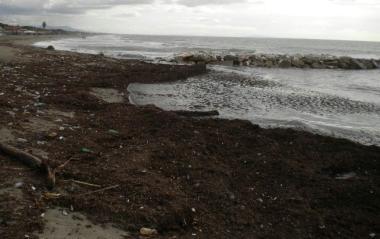 <b>SPIAGGIA.</b> &laquo;Lavarone&raquo; sul litorale di Marina 