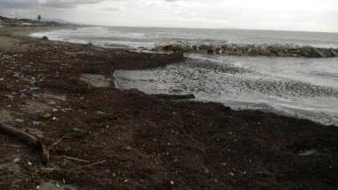 <b>SPIAGGIA.</b> «Lavarone» sul litorale di Marina