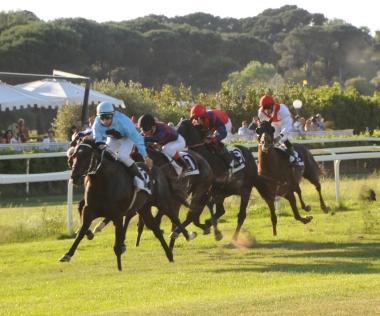 Torna oggi il grande galoppo: in programma il premio Palazzo Blu