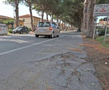 Uno dei tanti avvallamenti causati dalle radici di pino lungo il viale della Repubblica    