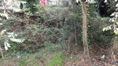 Il fosso pieno di vegetazione lungo via Maestri del lavoro e Lido Francini