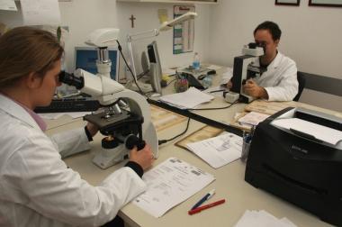 Giovani ricercatori impegnati nelle loro attivit&agrave; di laboratorio   