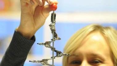 Ipac firma le mollette esposte a New York