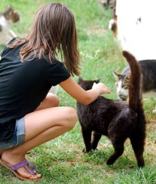 Una bambina mentre gioca con i suoi gatti     