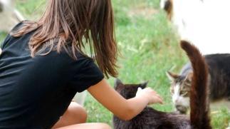 Una bambina mentre gioca con i suoi gatti