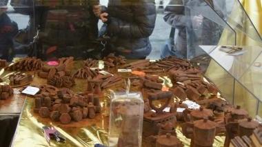 Cani, gatti e cioccolata