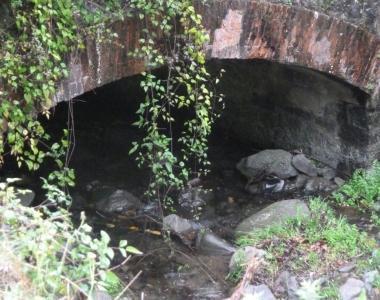 Ripulito il fosso del Castagno