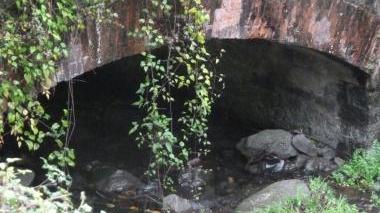 Ripulito il fosso del Castagno