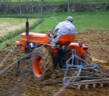Un contadino al lavoro nei campi lAsl effettuer&agrave; controlli sulla sicurezza (Foto darchivio) 