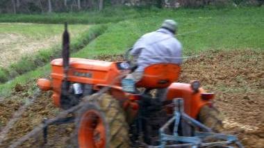 Un contadino al lavoro nei campi l’Asl effettuerà controlli sulla sicurezza (Foto d’archivio)
