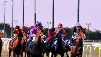Al Caprilli si corre di lunedì Da S.Siro arriva Salar Livius