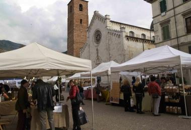<b>DOLCI.</b> Tony Brancatisano  
