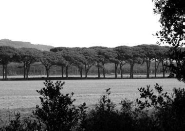 Il parco di Rimigliano 