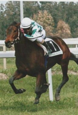 <strong>IN SELLA.</strong> Il fantino Erik Fumi