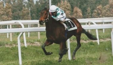 Erik Fumi è a casa «Non vedo l'ora di tornare a cavallo»