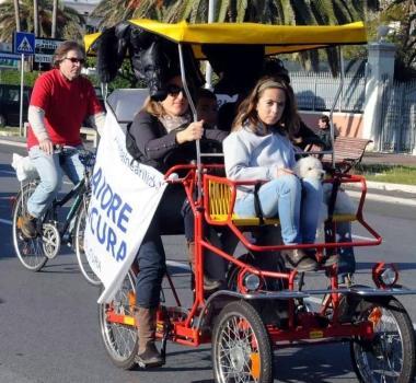 Tre momenti della manifestazione dei gestori degli stabilimenti In cento su biciclette e risci&ograve; per gridare no alla Bolkestein 