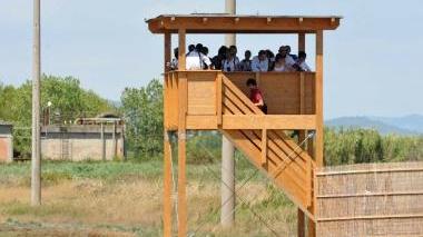 Da oggi l'ingresso all'oasi Wwf è sulla strada di Torre del Sale