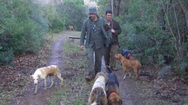 <b>CACCIATORI. </b>Con i loro cani (foto d’archivio)