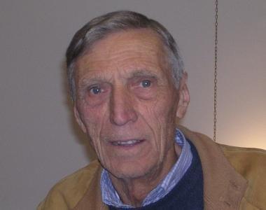 Ario Bini        