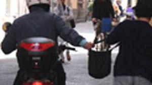 Arrestato lo scippatore dello "Scarabeo"