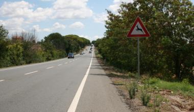 Tirrenica: la Regione chiede chiarezza a Sat
