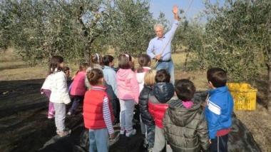 Sauro Nannipieri mentre mostra ai bambini della scuola Gianburrasca come avviene la raccolta delle olive    