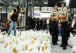 <b>SCOPERTA DAI CANI.</b> I sacchi di bentonite mescolata alla polvere bianca      