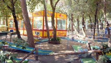 La pineta allinterno del Paradisino 