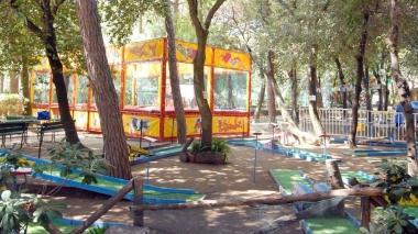 La pineta all’interno del Paradisino