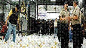 La droga che fu sequestrata dai Ros dei carabinieri di Livorno
