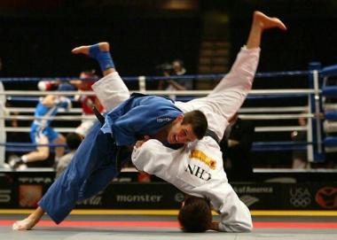 Un incontro di Judo  