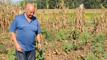 I danni prodotti dagli ungulati in una coltivazione