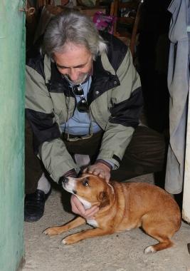 <b>CANINA DA OSCAR.</b> Serena con Santino Ceccarelli. Sopra, il trattore ribaltato nel podere 