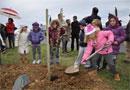Piccoli alunni piantano un albero