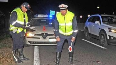 I vigili urbani si apprestano a rimuovere la carcassa del cinghiale travolto
