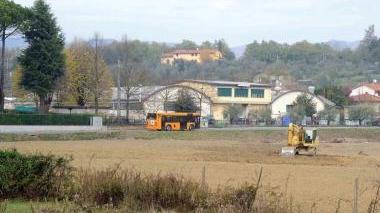 La zona di Torbecchia dove è stato avvistato il lupo