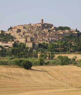 Uno scorcio di Montescudaio  