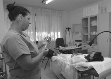 <b>IL MEDICO.</b> Un bando dellAsl 