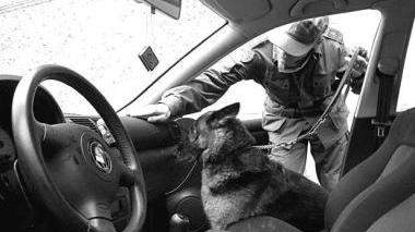 Cane anti-droga della Finanza in azione