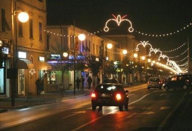 LAurelia illuminata a Rosignano Solvay  