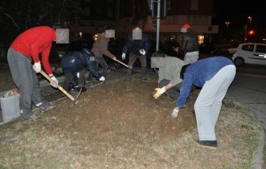 Unimmagine del blitz sullaiuola di via Mameli inviata dai giardinieri 