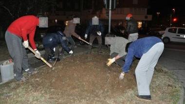 Un’immagine del blitz sull’aiuola di via Mameli inviata dai giardinieri