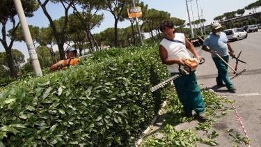 <b>NO AL RUMORE.</b> Giardinieri al lavoro (Foto d’archivio)