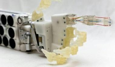 Dal 29 novembre la settimana europea della robotica