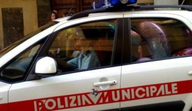 Scoperto traffico di cuccioli importati dalla Romania