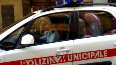 Scoperto traffico di cuccioli importati dalla Romania