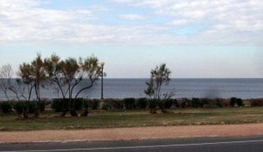 Sforbiciata alle siepi e così si vede il mare
