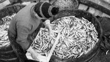 <b>PESCE</b> povero ma ricco di gusto