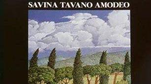 <b>LA COPERTINA </b>di uno dei due libri